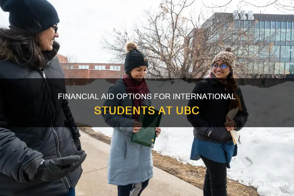 does ubc give financial aid to international students