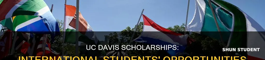 does uc davis give scholarships to international students