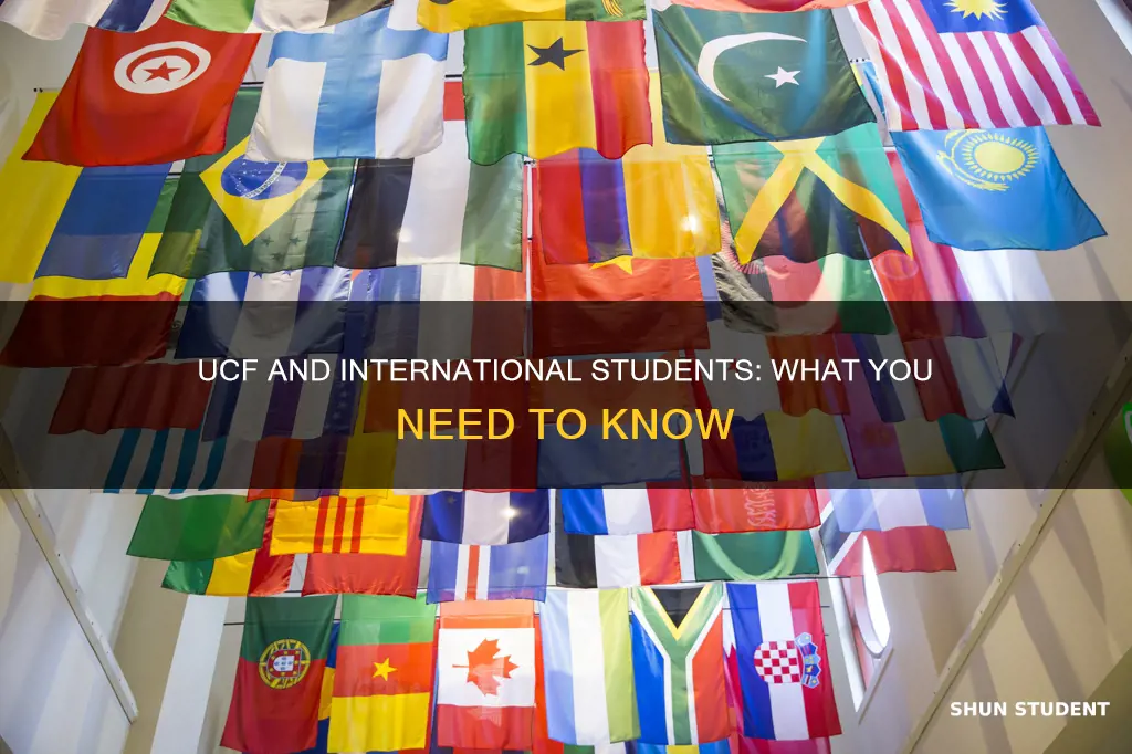 does ucf accept international students