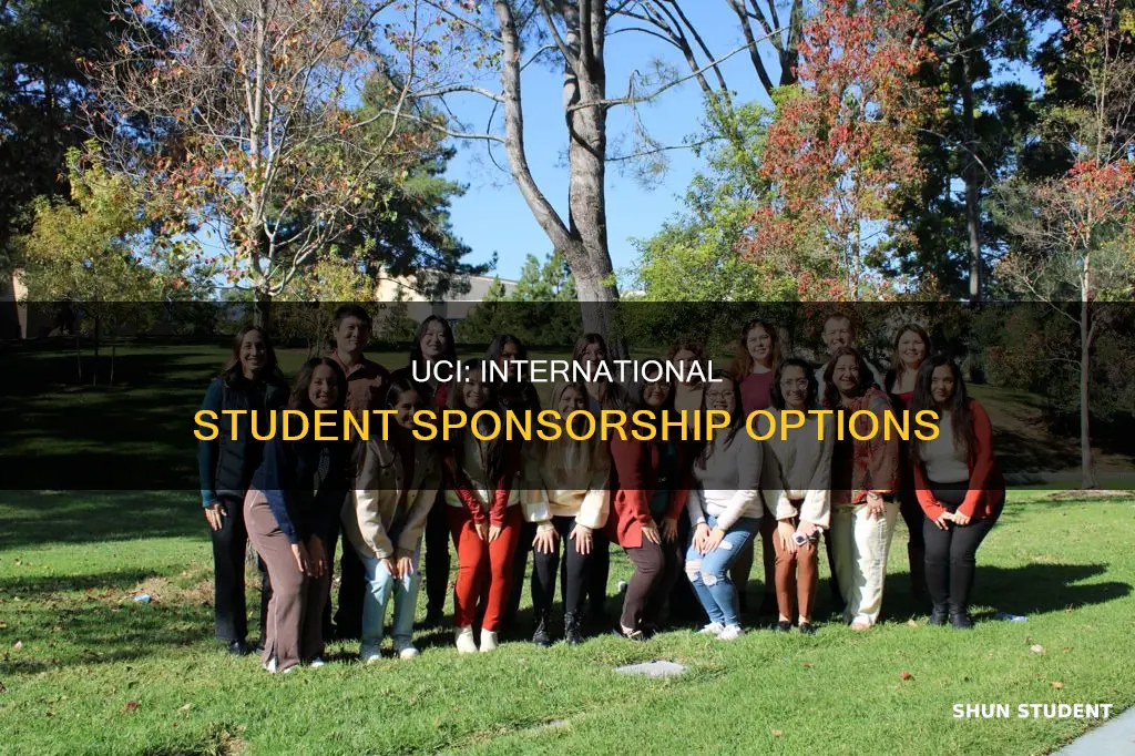 does uci sponsor international student