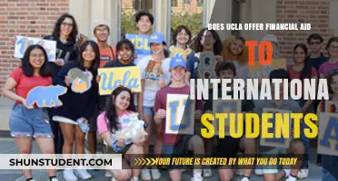 Financial Aid for International Students at UCLA: What's on Offer?