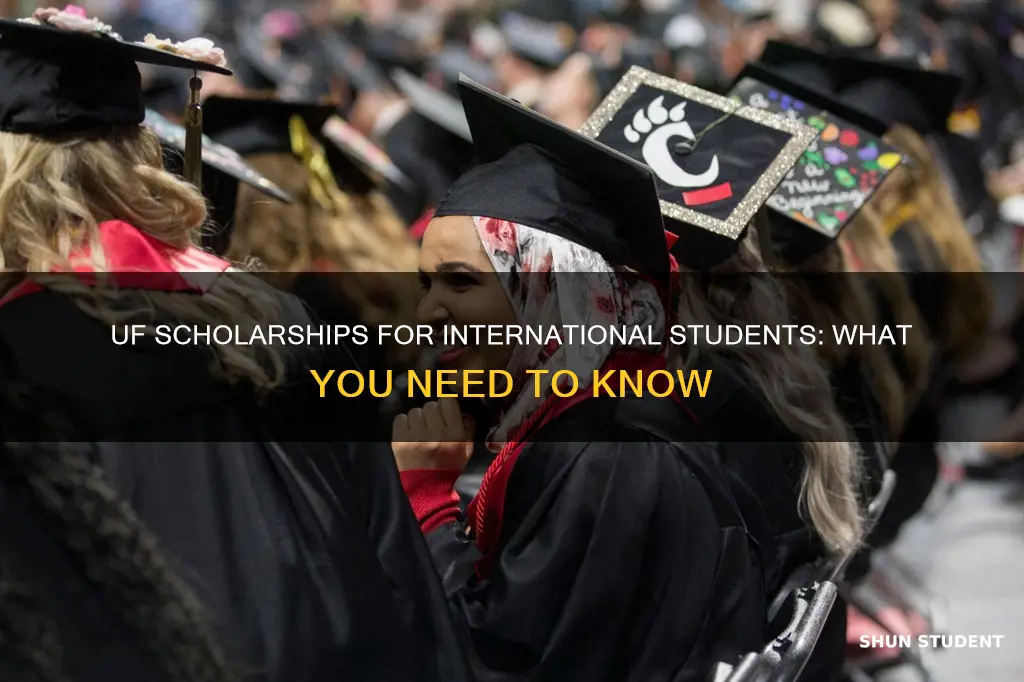 does uf give scholarships for international students