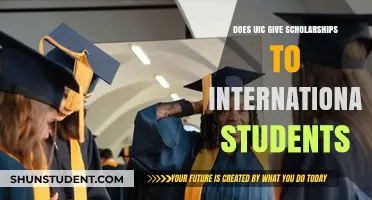 International Student Scholarships: What Does UIC Offer?