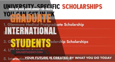 UK Scholarships: International Undergrads' Funding Options