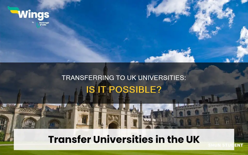 does uk universities accept transfer students