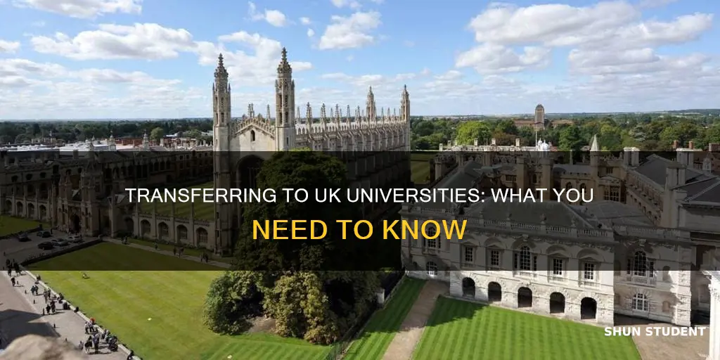 does uk universities accept transfer students