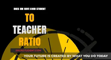 UM's Student-to-Teacher Ratio: Quality Learning Environment or Overcrowded?