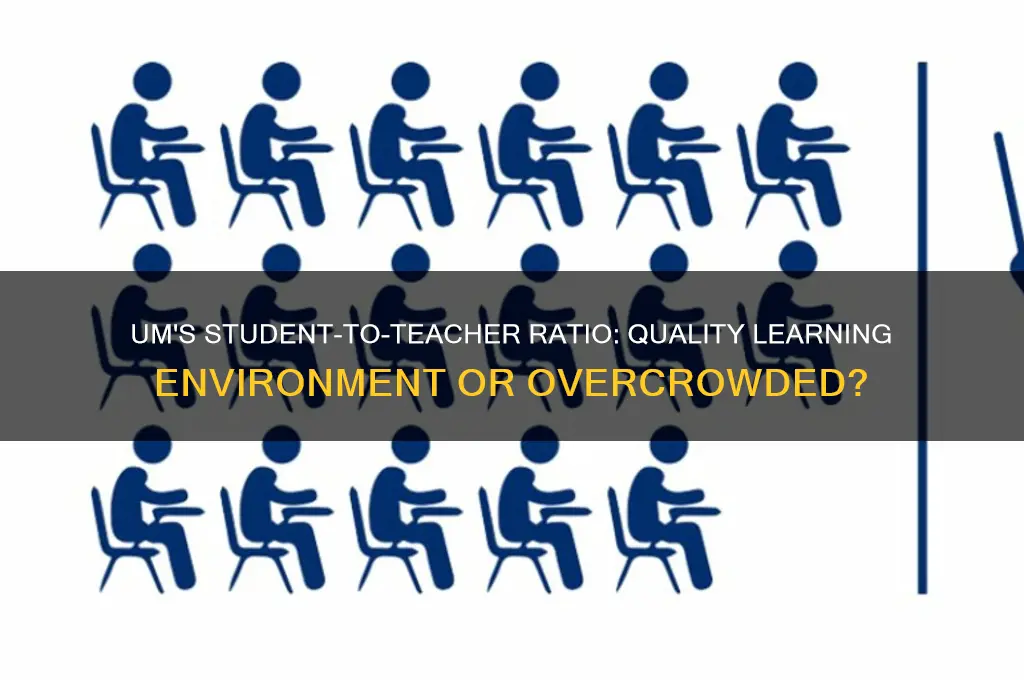 does um have good student to teacher ratio