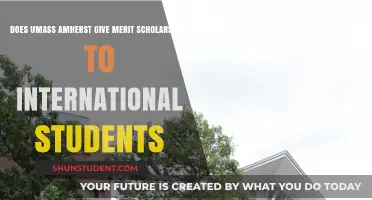 Merit Scholarships for International Students at UMass Amherst