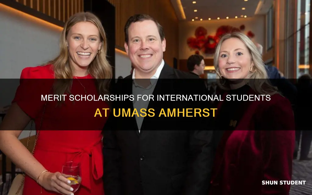 does umass amherst give merit scholarships to international students
