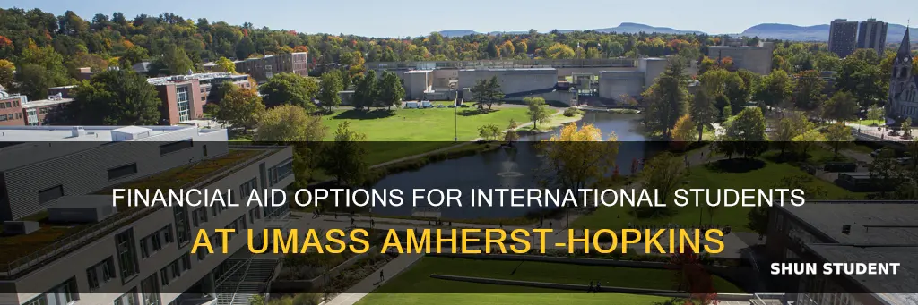 does umass amherst hopkins give financial aid to international students