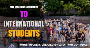 International Students: UMICH Scholarship Opportunities