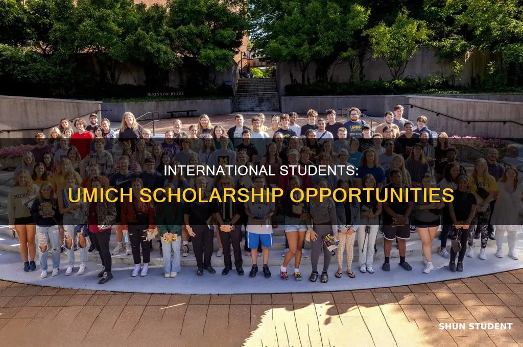 does umich give scholarships to international students