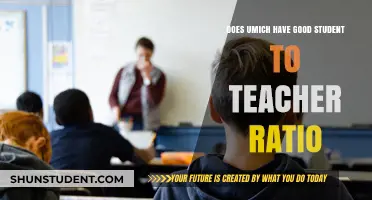 UMich Student-Teacher Ratio: Quality Learning Environment or Overcrowded?