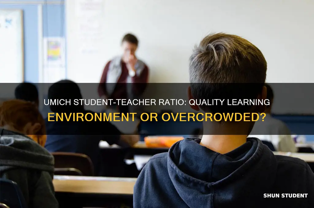does umich have good student to teacher ratio