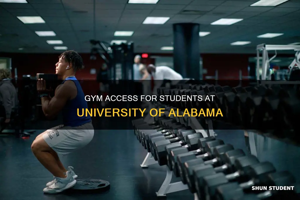 does university of alabama have a gym for students