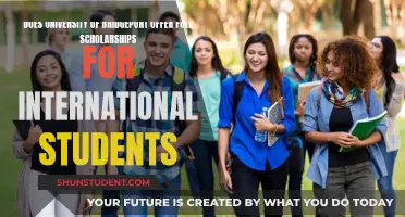 Bridgeport University: Full Scholarships for International Students?