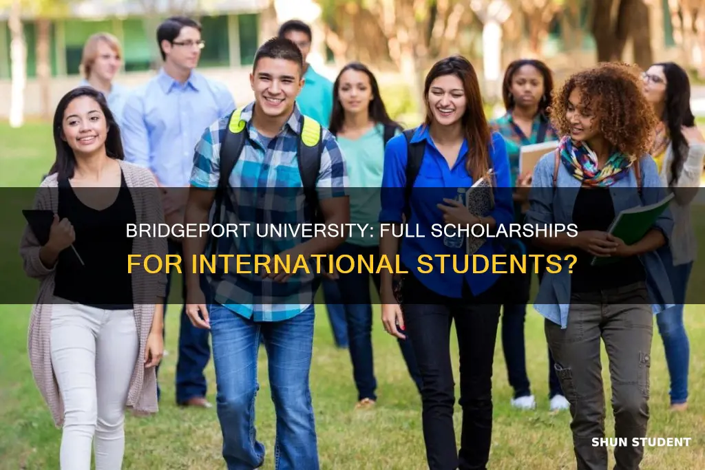 does university of bridgeport offer full scholarships for international students