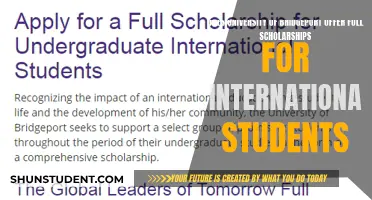 Bridgeport University: Full Scholarships for International Students?