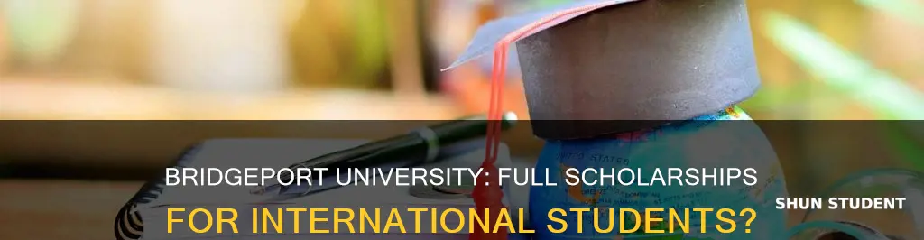 does university of bridgeport offer full scholarships for international students