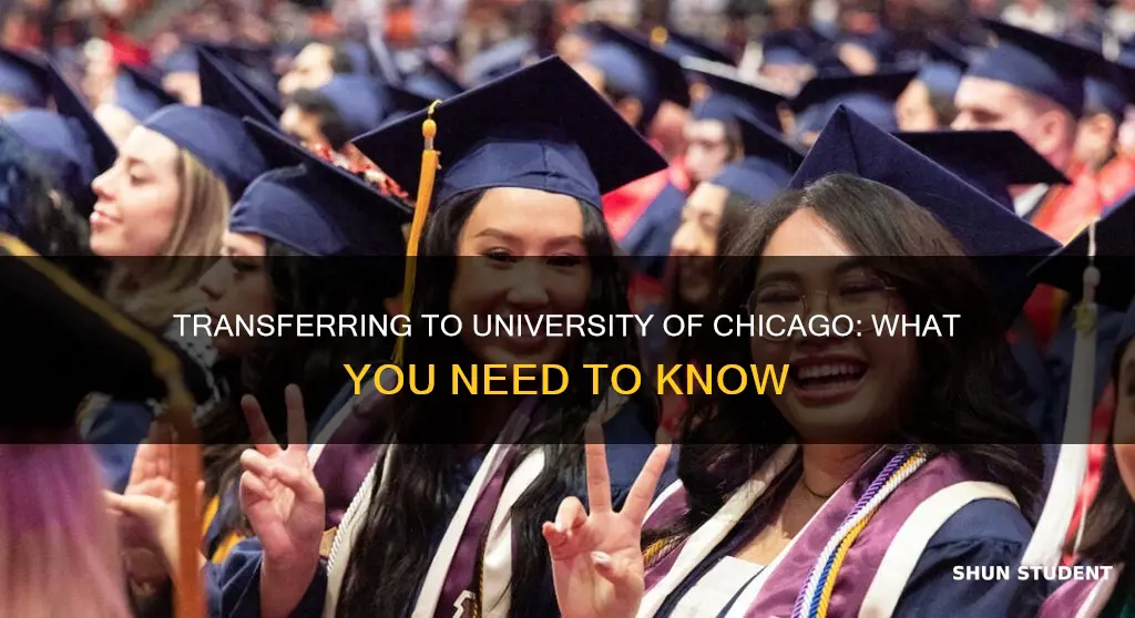 does university of chicago accept transfer students