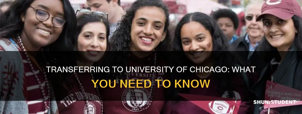 does university of chicago accept transfer students