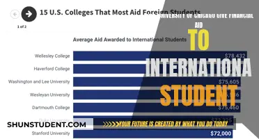 Chicago University: Financial Aid for International Students?