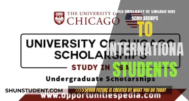 Chicago Scholarships: International Students' Opportunities