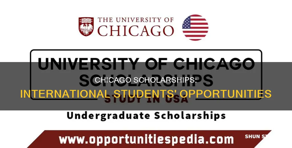 does university of chicago give scholarships to international students