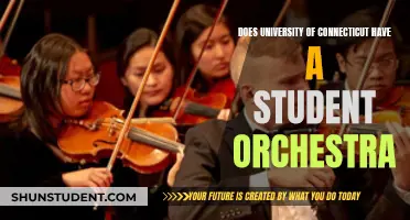 Student Orchestras at the University of Connecticut: What You Need Know