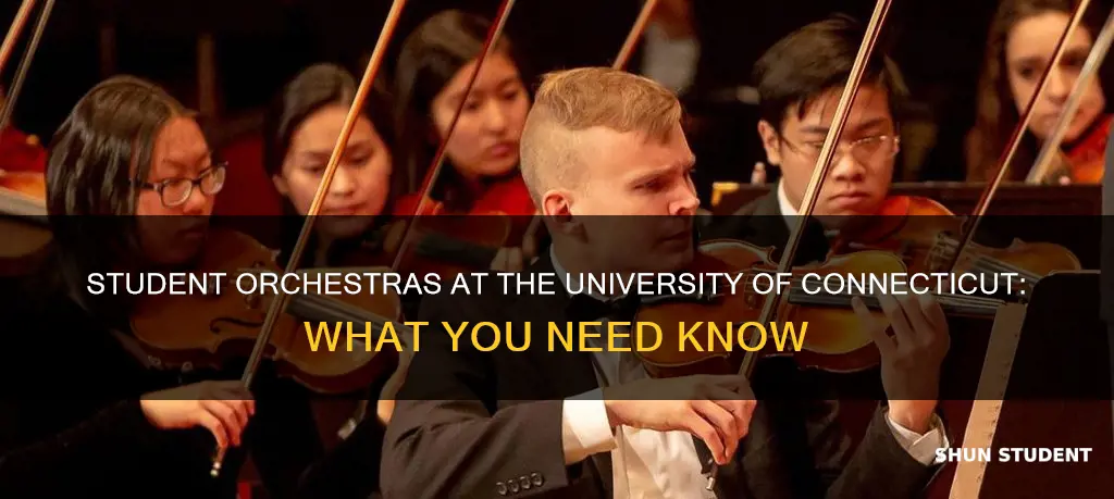 does university of connecticut have a student orchestra