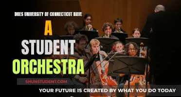 UConn Student Orchestras: Do They Exist?