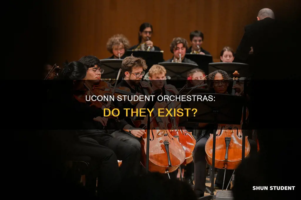 does university of connecticut have a student orchestra