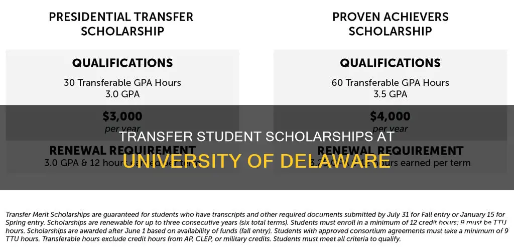does university of delaware give scholarships to transfer students