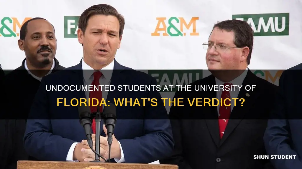 does university of florida accept undocumented students