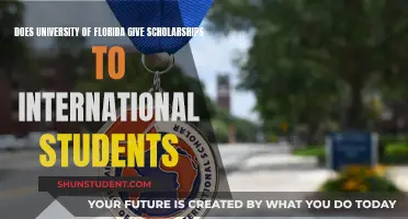 Scholarships for International Students at the University of Florida