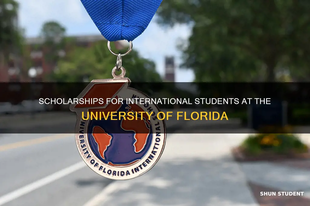 does university of florida give scholarships to international students