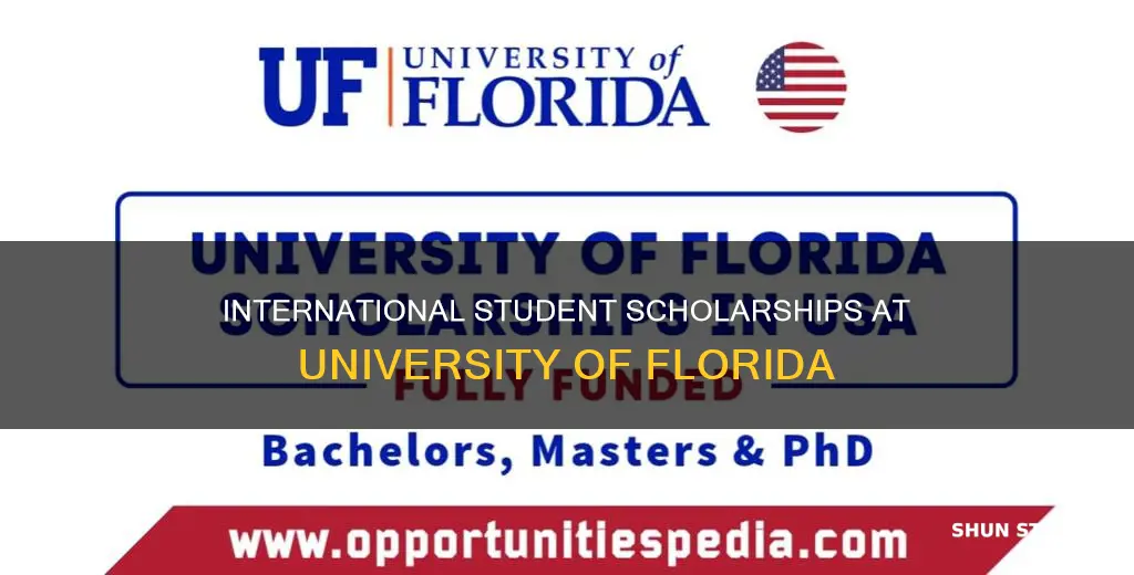 does university of florida give scholarships to international students