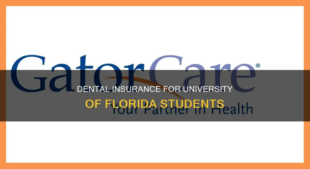 does university of florida provide dental insurance students