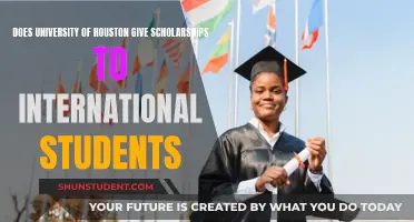 Houston Scholarships: International Students' Opportunities