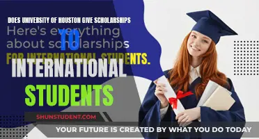 Houston Scholarships: International Students' Opportunities