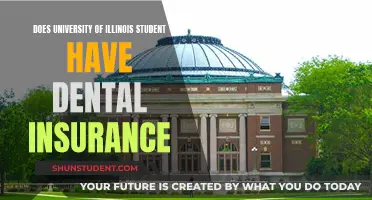 Dental Insurance for University of Illinois Students: What's Covered?