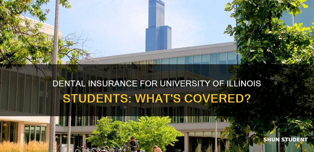 does university of illinois student have dental insurance