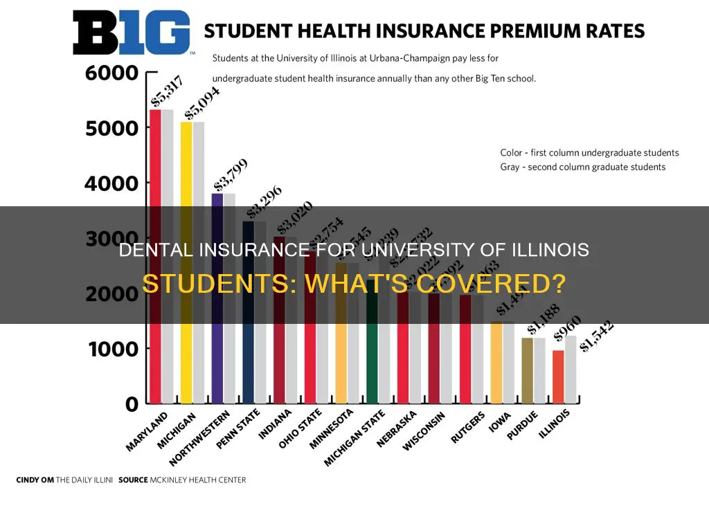 does university of illinois student have dental insurance