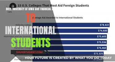 International Students: University of Iowa Financial Aid Options