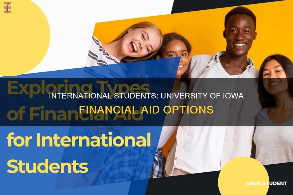 does university of iowa give financial aid to international students