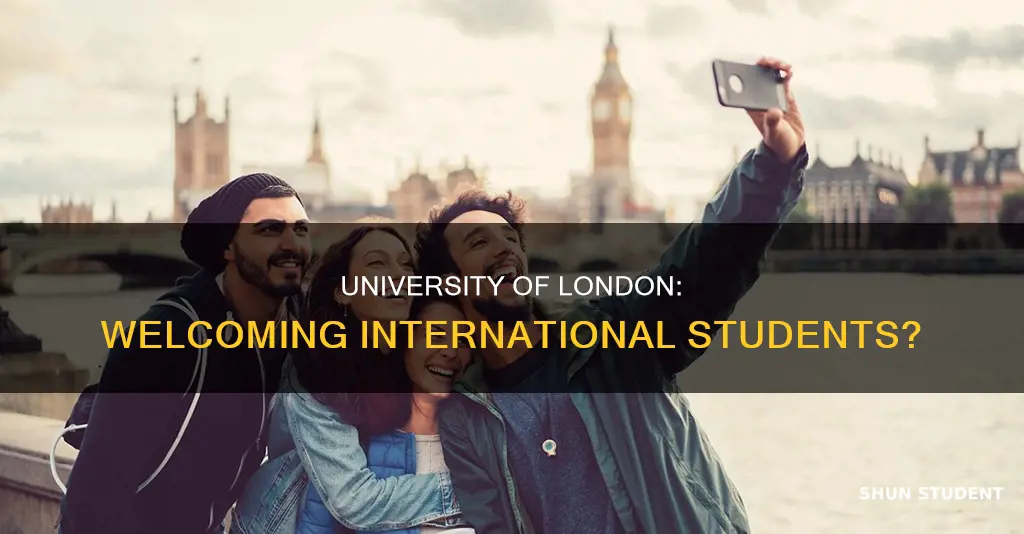 does university of london accept international students