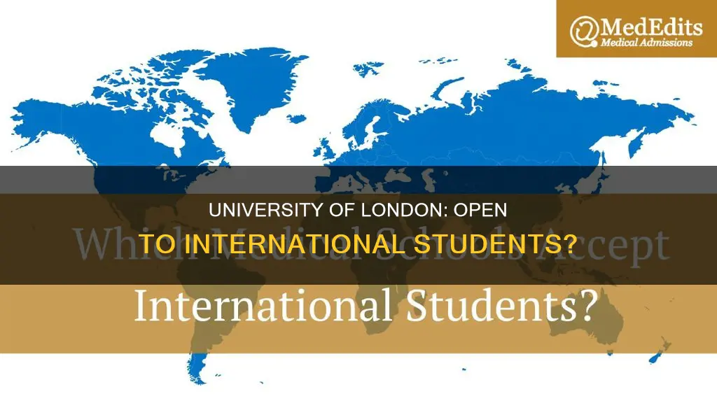 does university of london accept international students