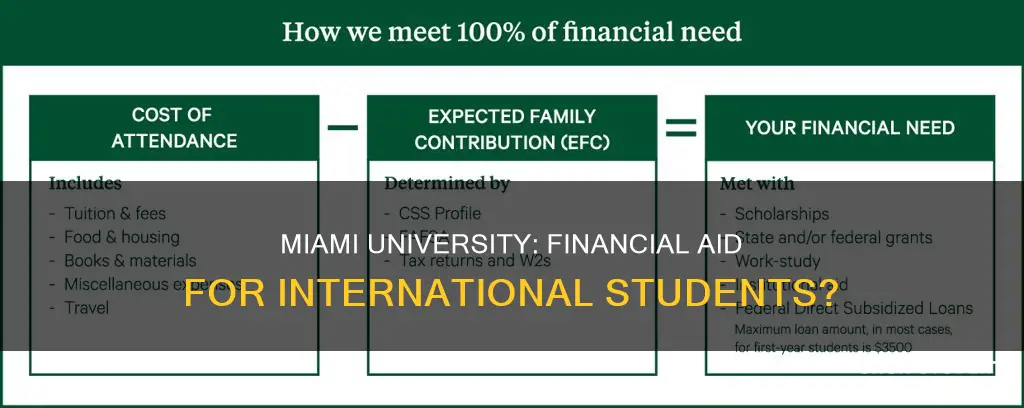 does university of miami give financial aid to international students