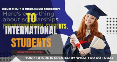International Students: University of Minnesota Scholarship Opportunities